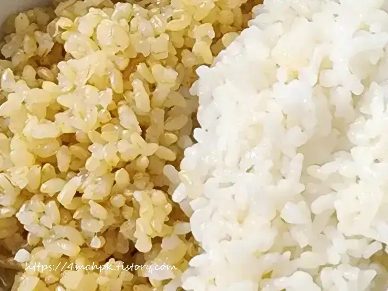 짝꿍은 현미찹쌀밥-비말이는 흰찹쌀밥