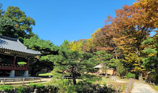 한국민속촌, 정자, 나무, 풍경,우물