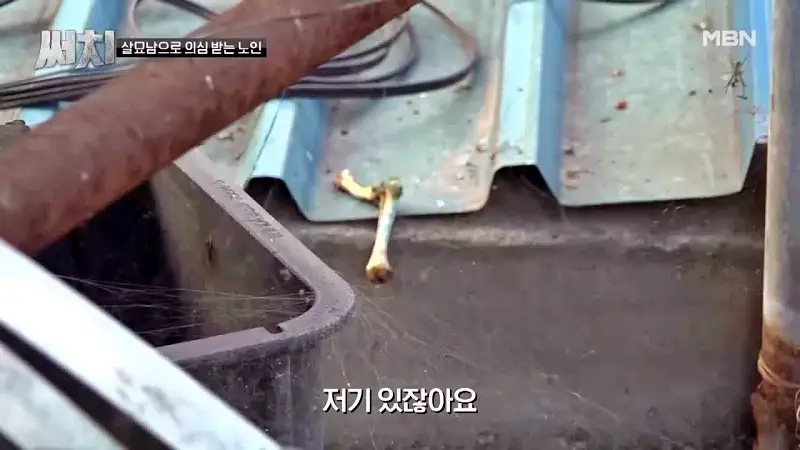 써치 8년간 천여마리 죽인 대전 신탄진 고양이 살해남의 정체