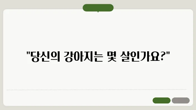 강아지 노화 징후, 함께 살펴볼까요? 정보와 관리 방법을 알아보세요