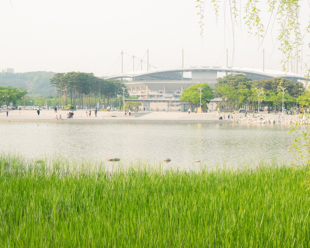 Han River Park