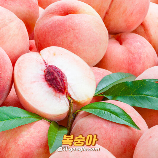 복숭아