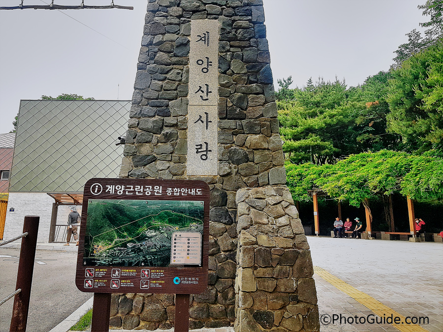 계양산장미원