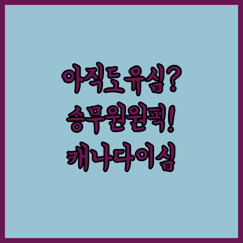 캐나다 여행 갈 때 아직도 유심 쓰나..