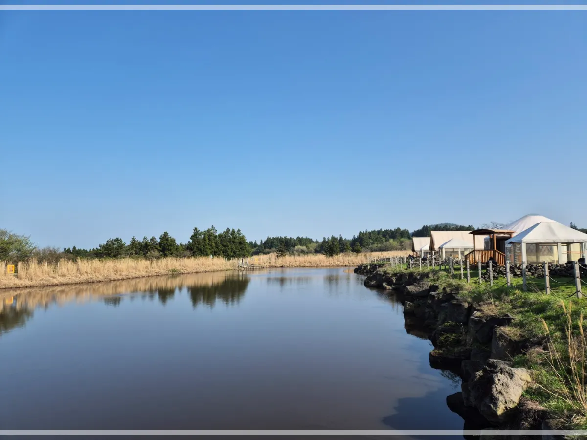 제주-글램핑-숙소-스타빌-액티비티-총정리-별자리-낚시-어질리티-페달카트-여행