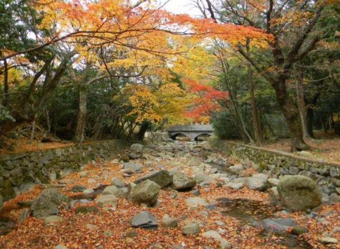 2025 두륜산 단풍 절정 시기 공개! 가을 인기 등산코스 best 3