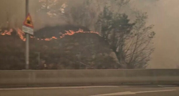 인제 산불 상황