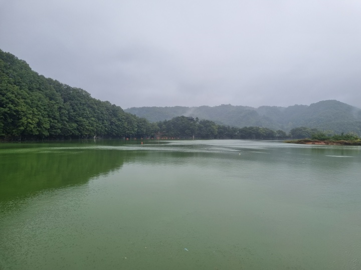 대청호-1