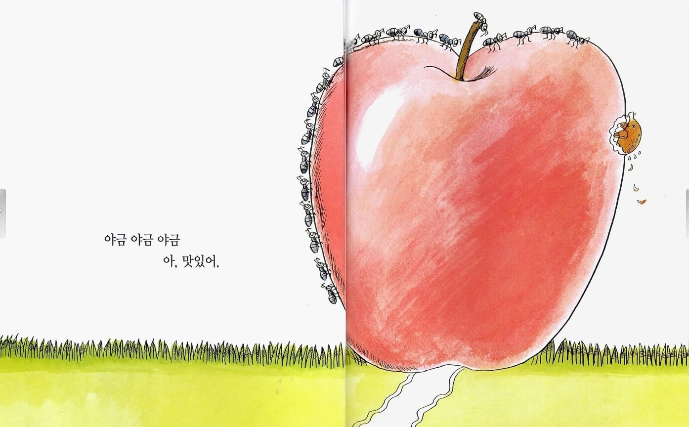 영유아 그림책 추천