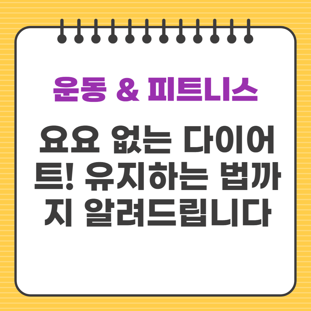 요요 없는 다이어트! 유지하는 법까지 알려드립니다