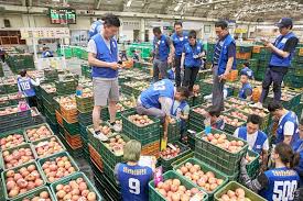 농협 공판장 인터넷 통합거래시스템 바로가기