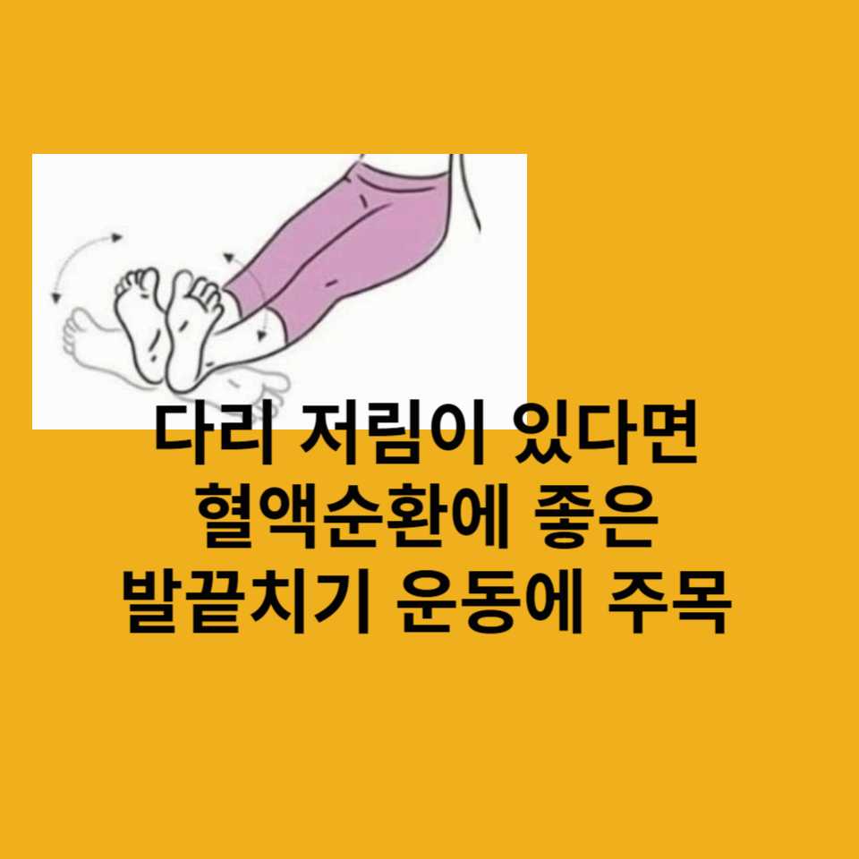 다리저림-발끝치기-운동