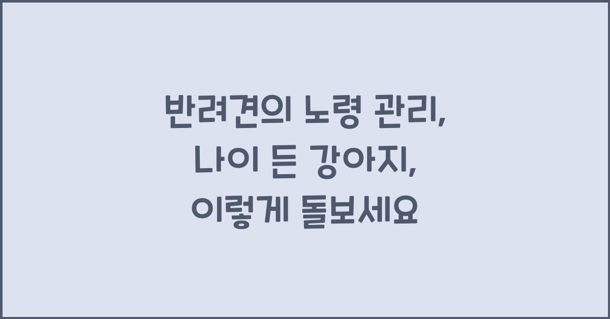 반려견의 노령 관리: 나이 든 강아지를 위한 특별한 관리법