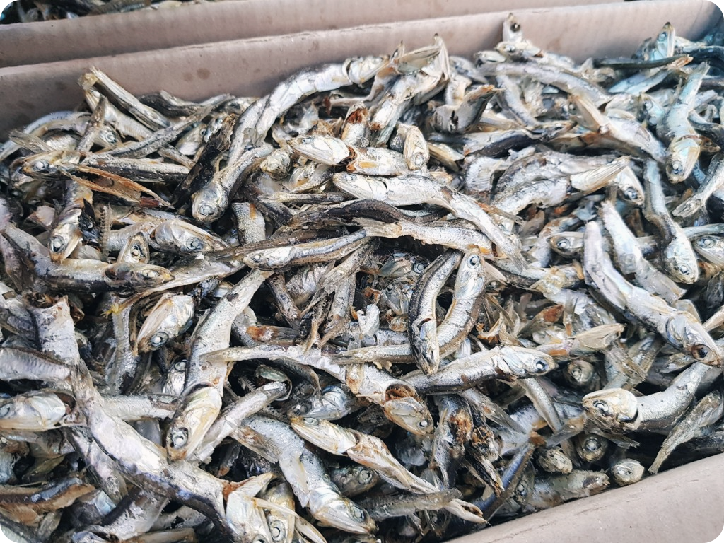 골다공증에-좋은-음식