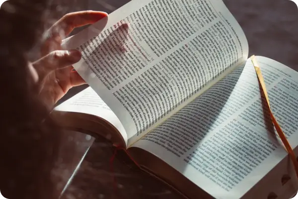 직업상담사 2급 시험일정