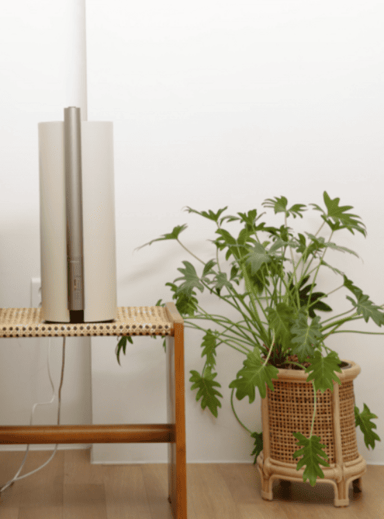 베비코 UVM 복합식 가습기