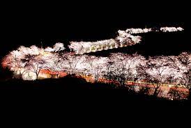 제 28회 제천 청풍호 벚꽃축제 기본일정과 특징 소개