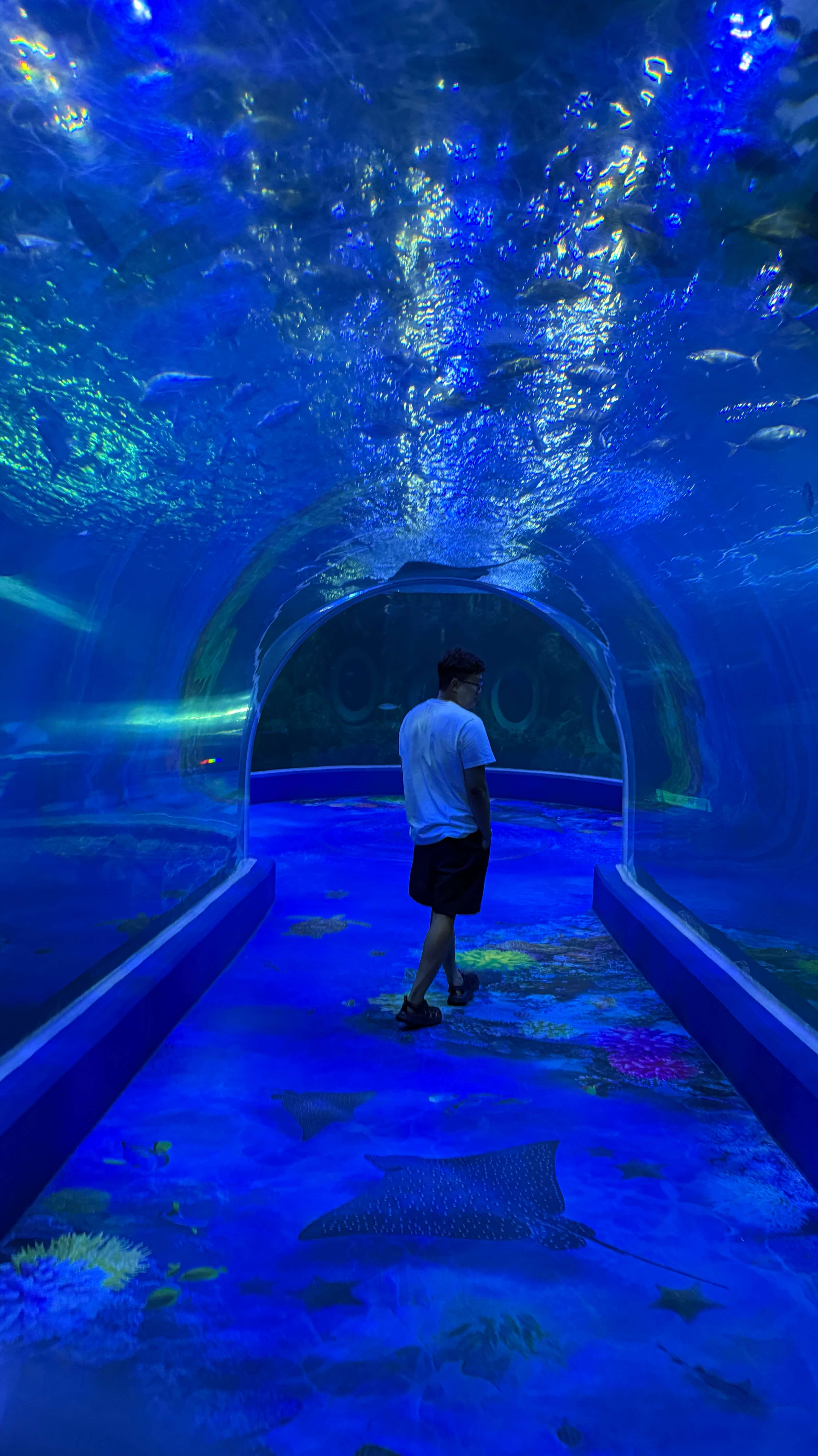 여수아쿠아플라넷-해조터널