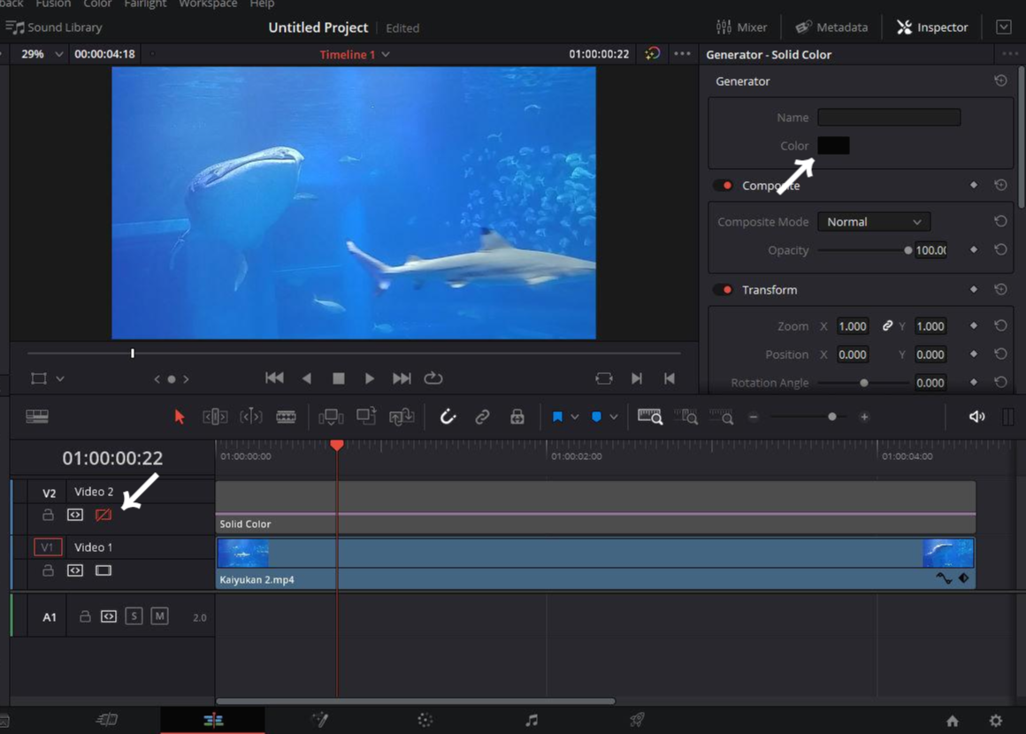 솔리드 컬러 비활성화 하는법
