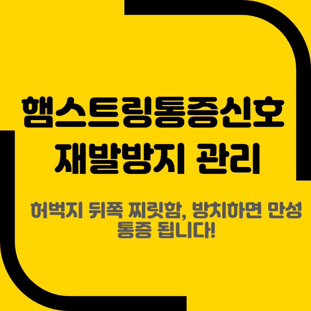 햄스트링통증신호 재발방지 관리