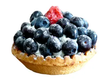 블루베리 가격 및 효능&amp;#44; 영양성분