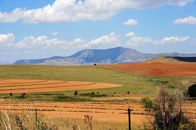 형사소송에서의 위법수집증거 배제법칙과 독수독과이론