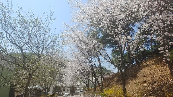 미리내 힐빙 클럽