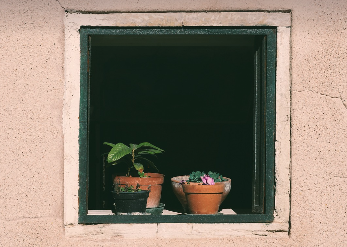 식물재료의 이용 형태별 분류