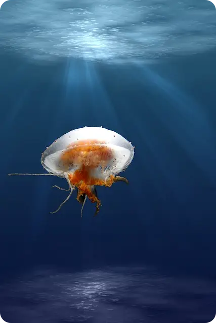 문화누리카드 사용처