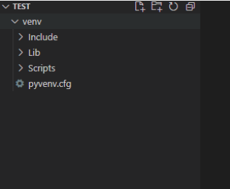 venv디렉토리안에 파일