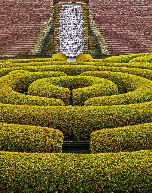 조경학 기반 도시열섬 대응 조경 설계와 미기후 전략