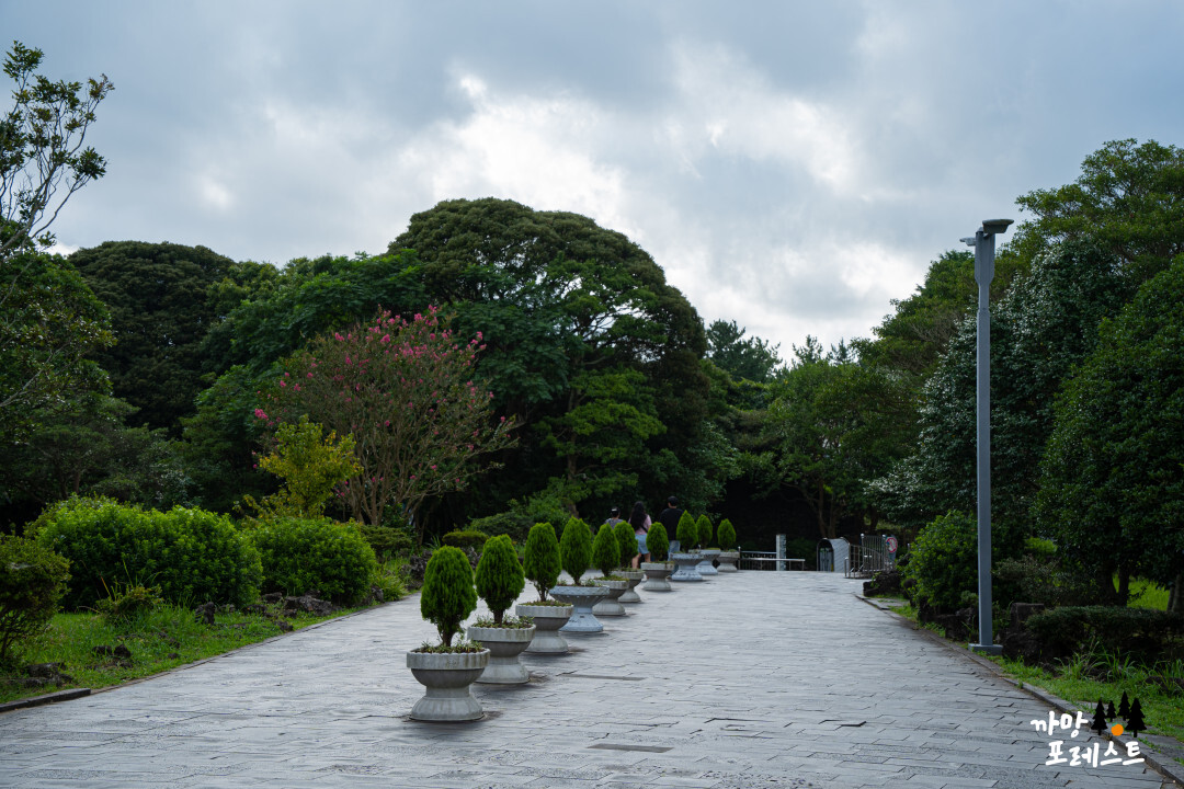 제주 만장굴 외부