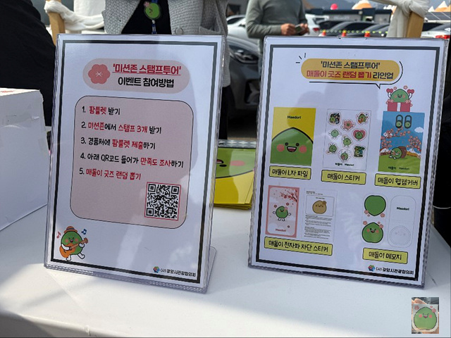 2025 광양매화축제 개화상황 주차장 실시간 입장료