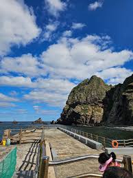 울릉도독도2박3일여행