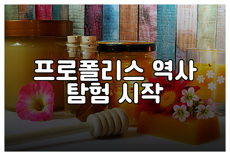 프로폴리스 역사 탐험 시작