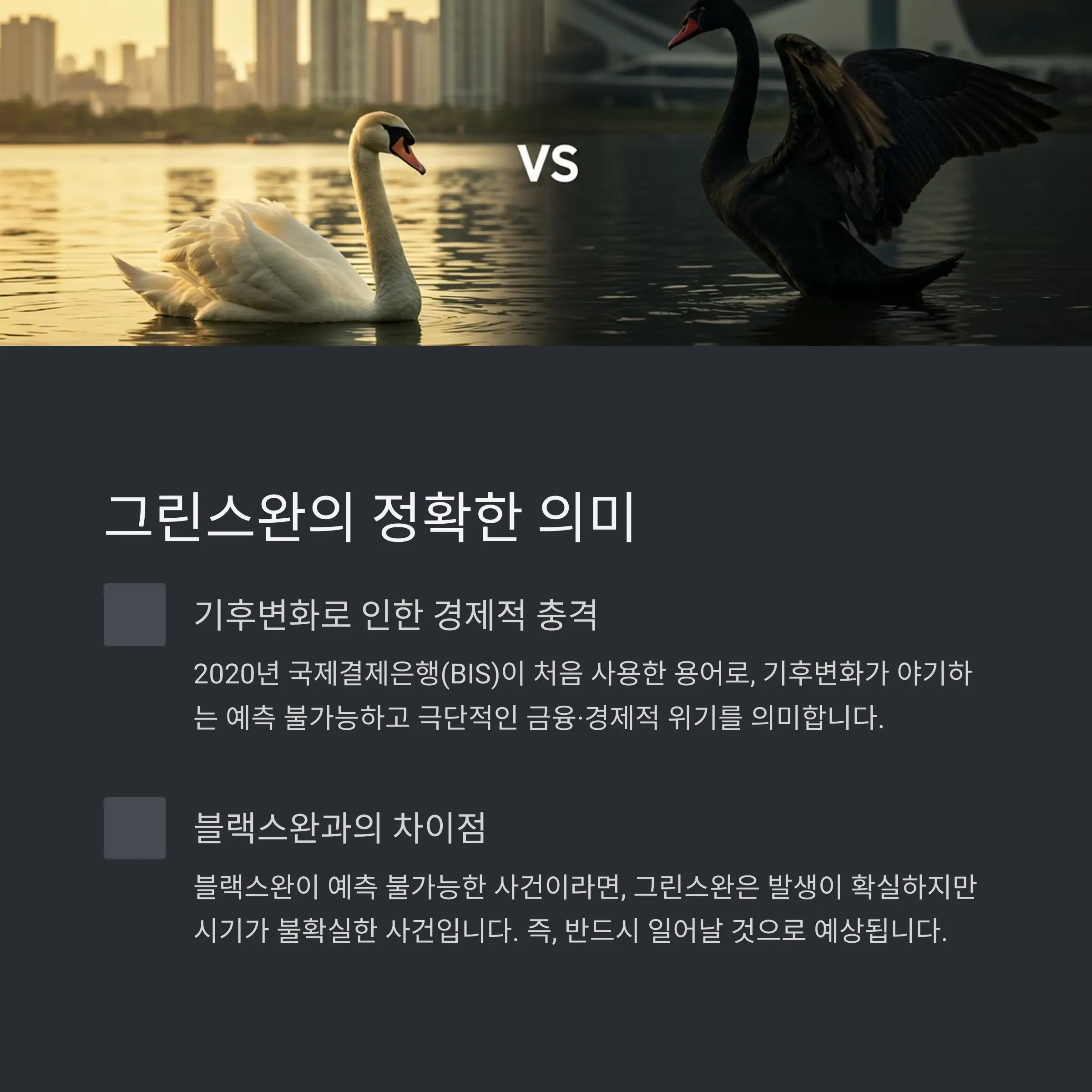 🦢 그린스완이란 무엇인가?