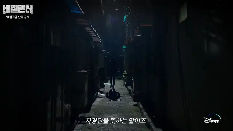 비질란테 디즈니+ 신작 추천