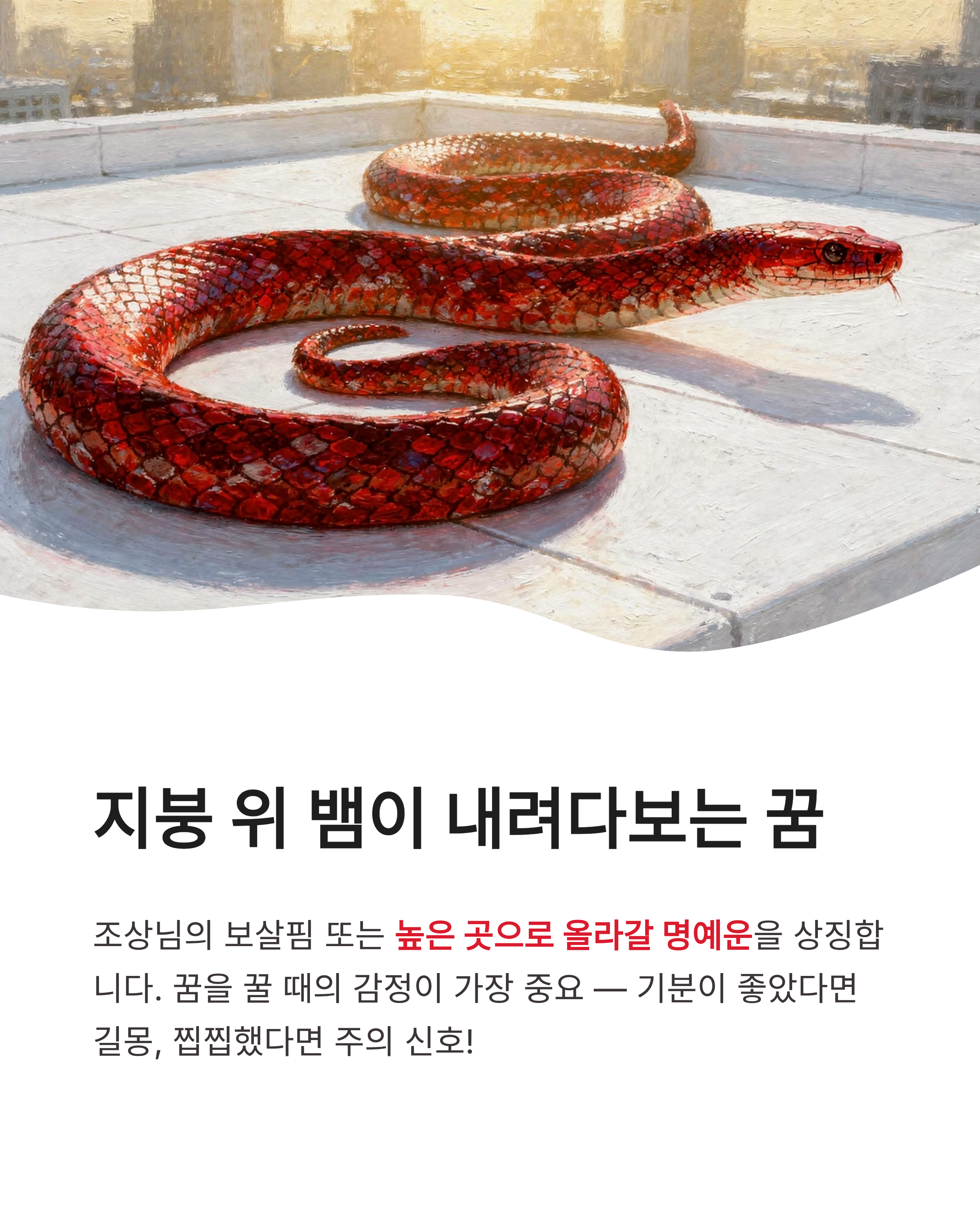 뱀꿈 해몽 큰 뱀 검은 뱀 물리는 꿈까지 상황별 완벽 정리! 오늘 밤 당신에게 찾아온 대박 기회?