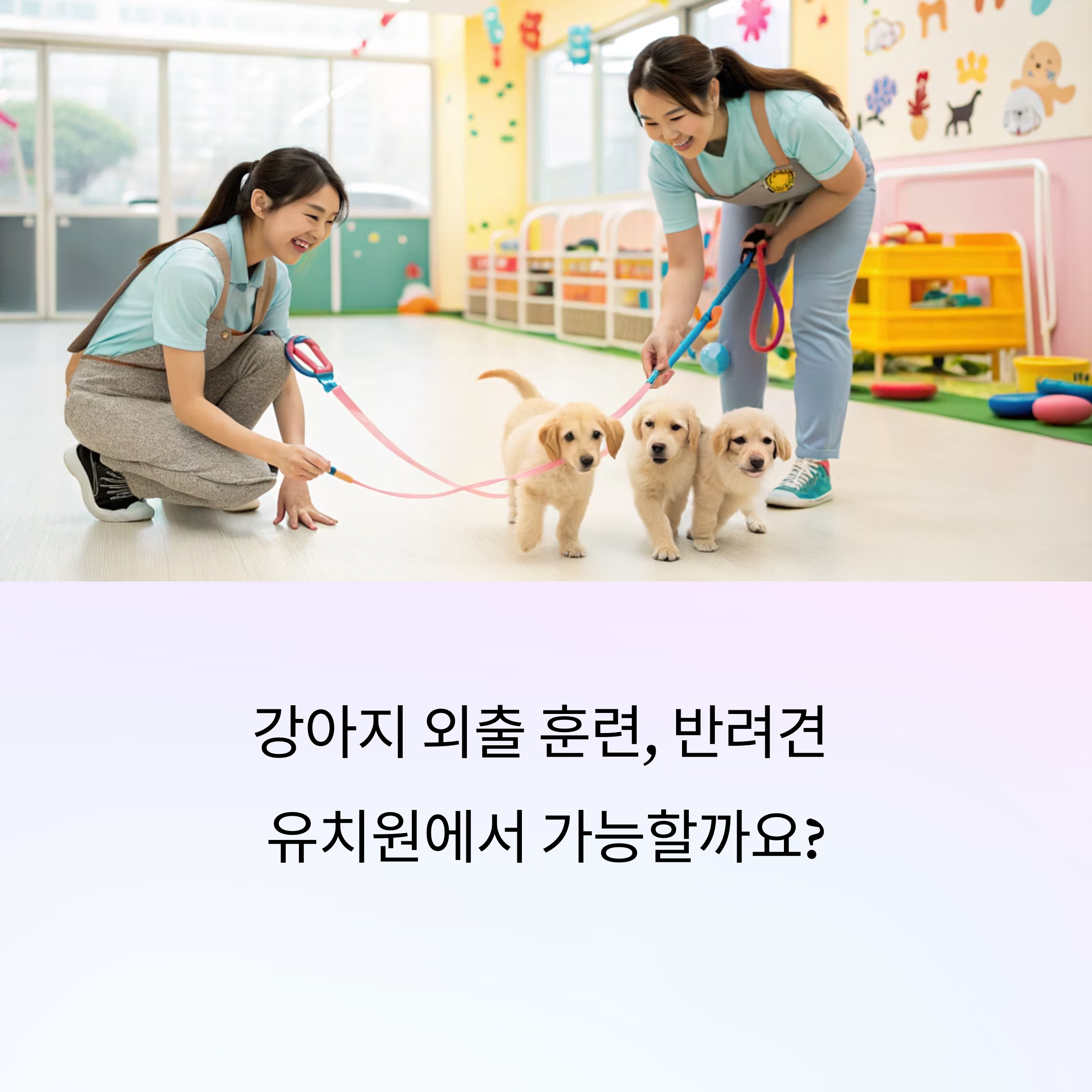 반려견 유치원에서 가능할까?