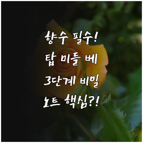 향수의 3단계 노트 변화: 탑 미들 ..
