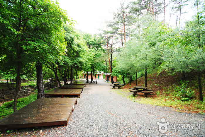 영양 가볼만한곳 베스트10