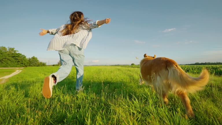 펫로스와 새로운 삶의 출발