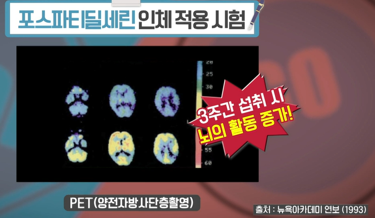 포스파티딜세린 효능