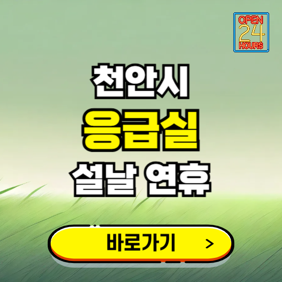 천안시 설날 연휴 비상진료 응급실 병원 찾기 ❘ 내근처 24시 야간 심야 휴일 가능한 곳
