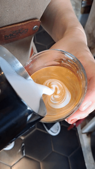 망한 윙튤립 첫번째 움짤