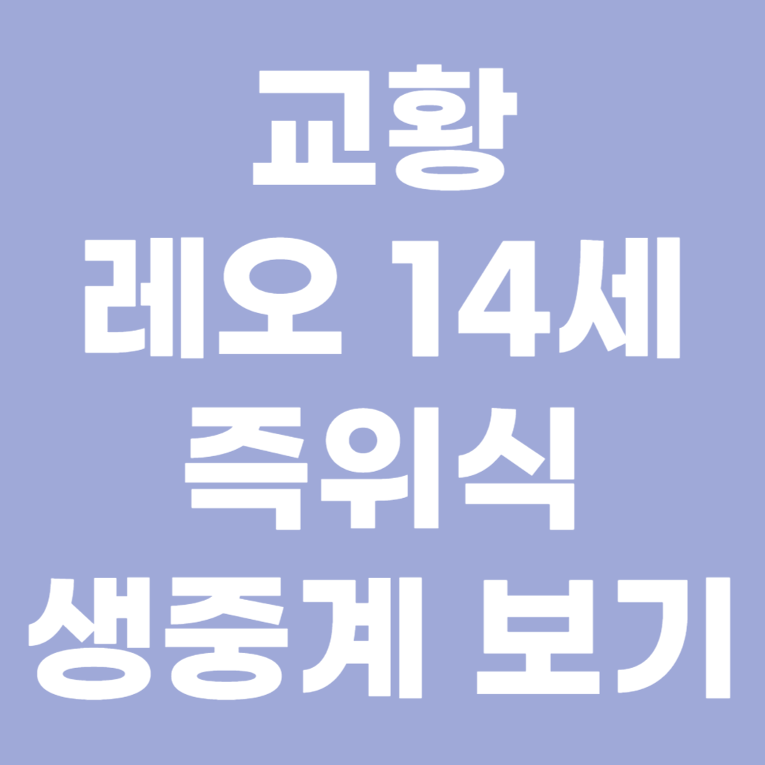 교황 레오 14세 즉위식 생중계 보기