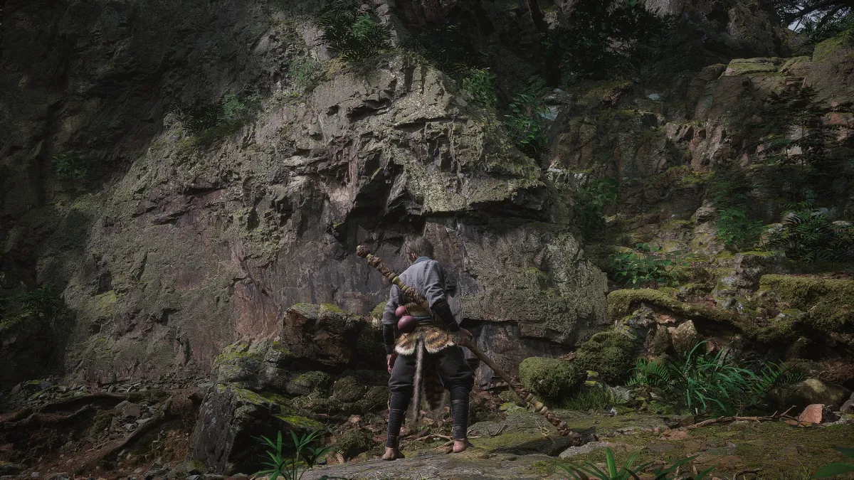 이끼가-껴있는-큰-바위