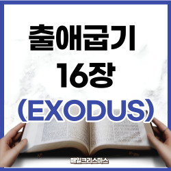 출애굽기 16장 1~36절 요약 [구약성경문제]