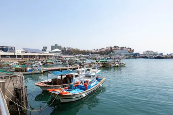 사천 삼천포항 제주도 배편 요금 시간표 차량선적 알아보기 여행정보_9