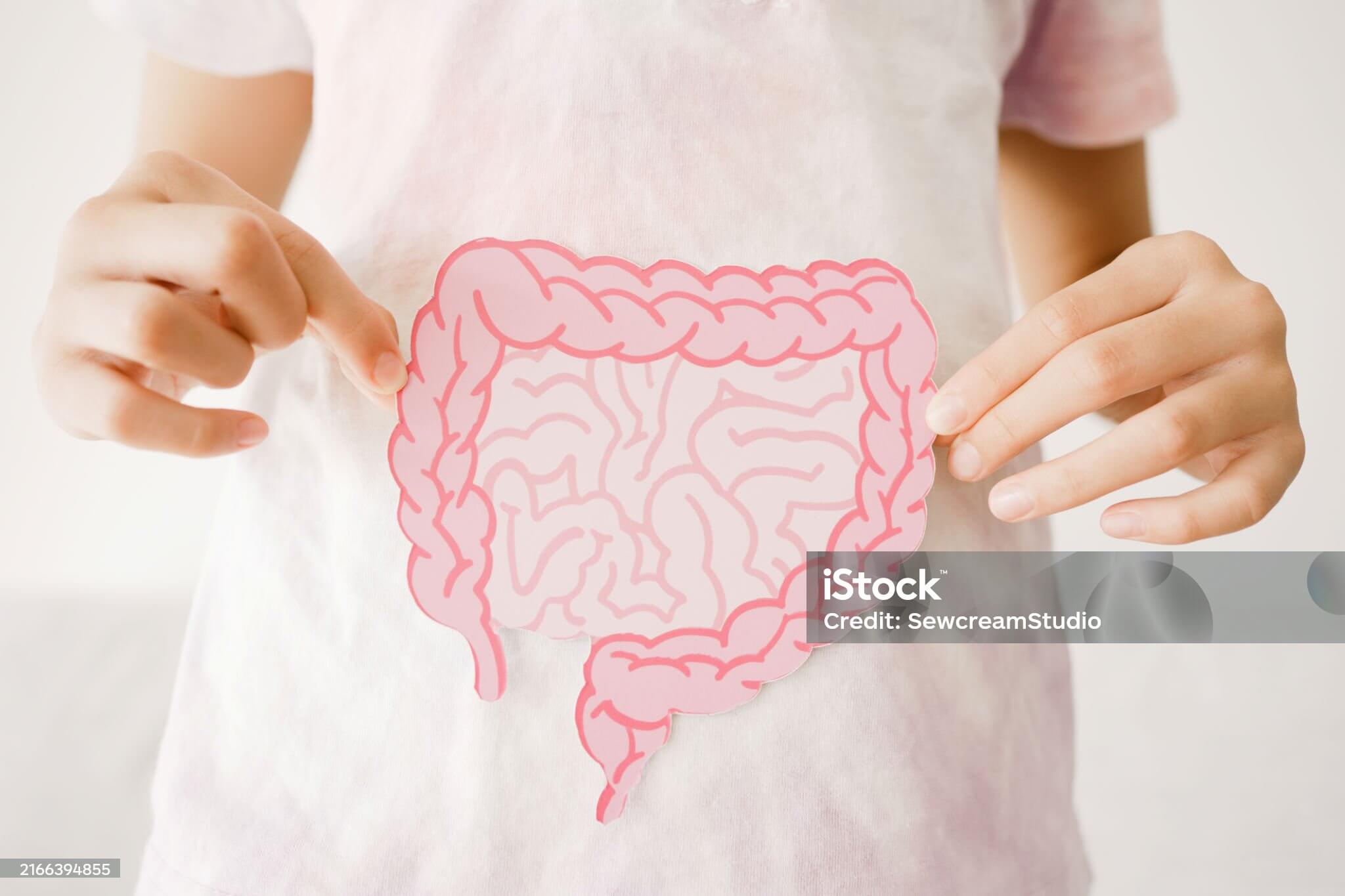 위장병이 노화의 시작? 장 건강을 지키는 법